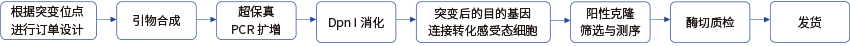 擎科生物-定点突变服务流程
